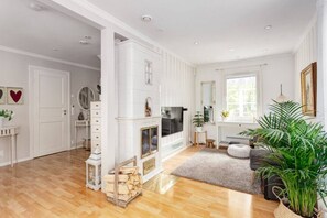 TV connectée, cheminée, livres, chaßne hi-fi