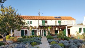 A courtyard with a stone pathway, surrounded by neatly trimmed bushes and trees.