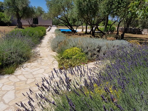 Luxury villa Stone house with private pool