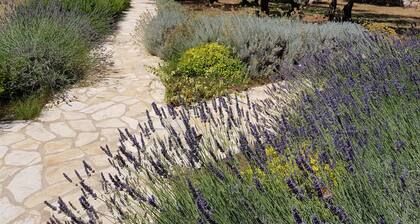 Luxury villa Stone house with private pool