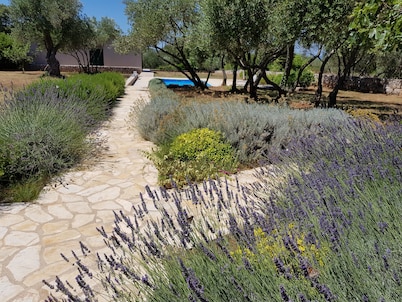 Luxury villa Stone house with private pool