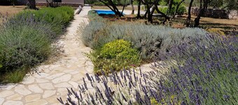 Luxury villa Stone house with private pool