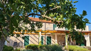 A stone building with green shutters, a covered patio, and a garden with various plants.