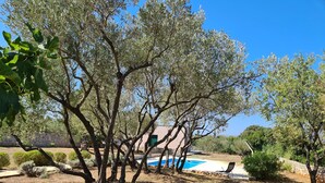 A pool area surrounded by olive trees and shrubs, with a stone wall and a building in the background.