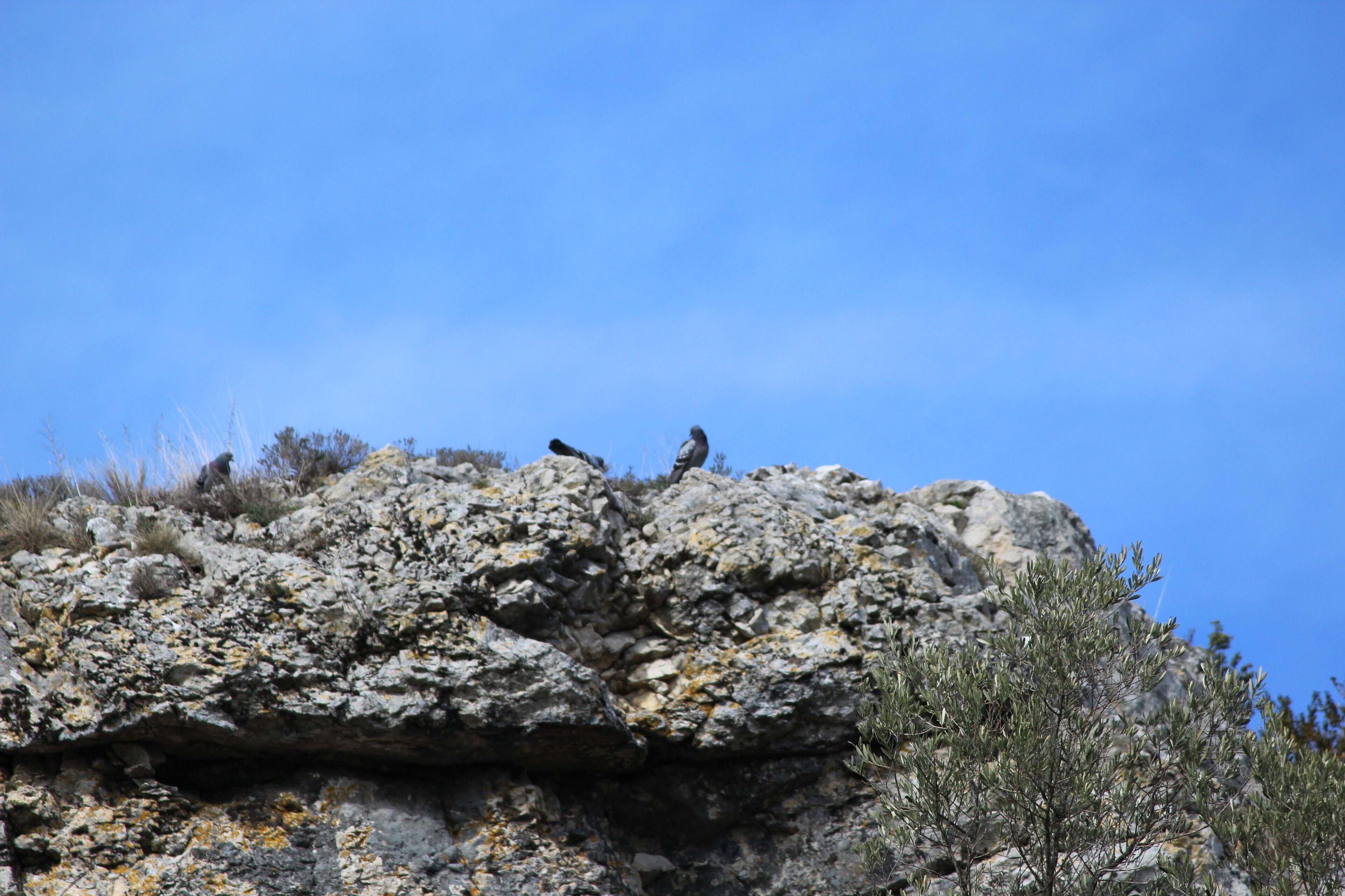 A rocky cliff with sparse vegetation and a clear blue sky.