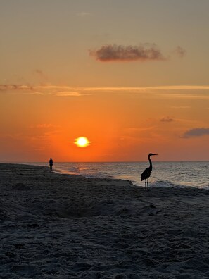 On the beach, sun loungers, beach towels - Last minute days left for April! (Saint George Island)