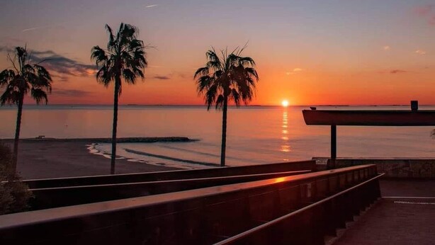 A sunset view from a balcony overlooking a beach with palm trees and a bench.