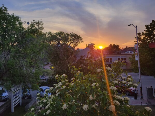 Suite | Vue de la chambre