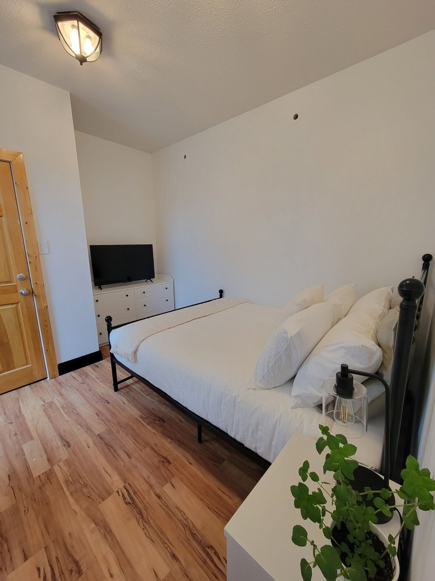 Un dormitorio con una cama, una mesita de noche con una planta, un televisor en un aparador y una puerta de madera.