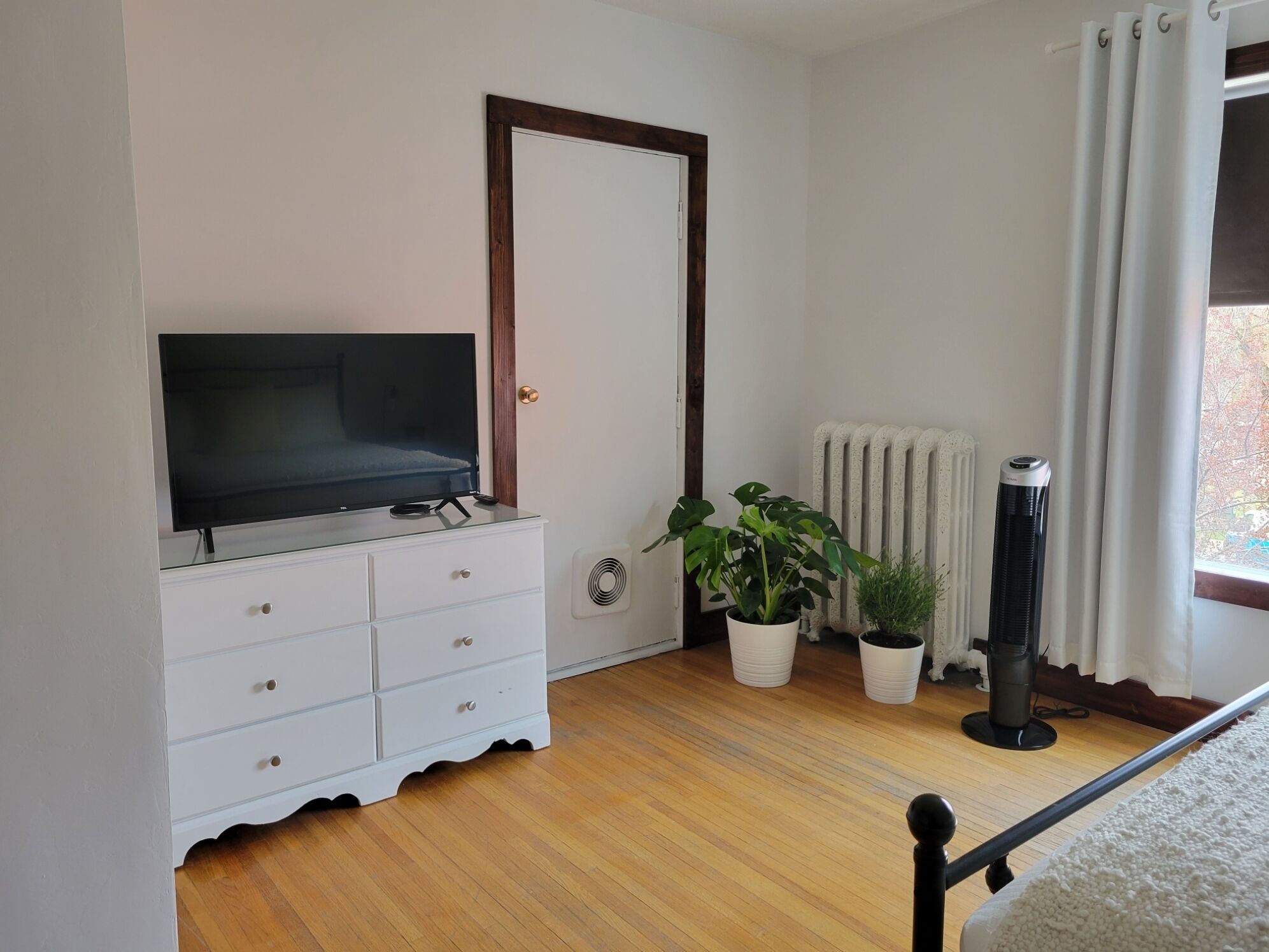 A room with a TV on a dresser, a radiator, two potted plants, and a standing heater.