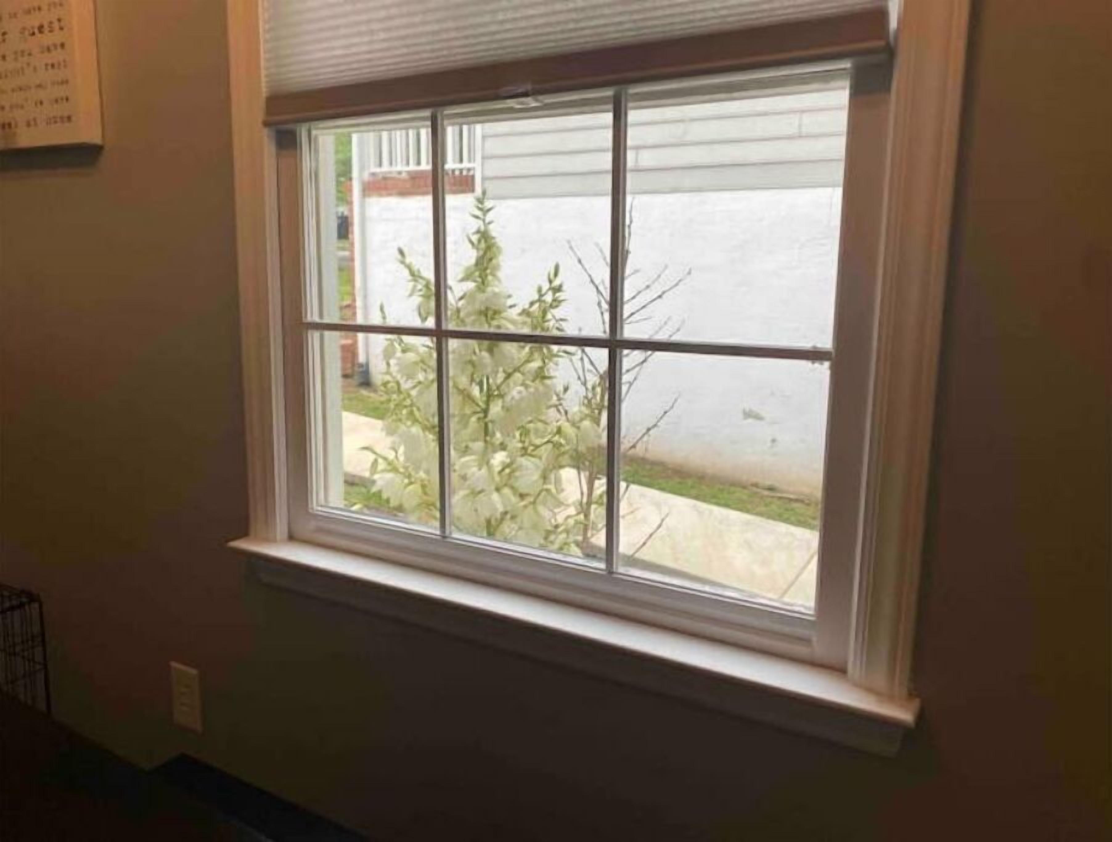 Ein Fenster mit Blick auf eine blühende, weiße Pflanze und ein Gebäude gegenüber.