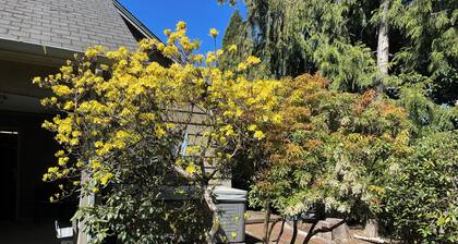 Classic home on College Hill with five beds, private yard, hot tub, and grill.