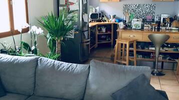 TV, fireplace, books