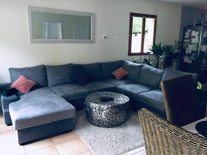 TV, fireplace, books