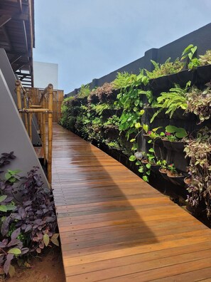 Property grounds - Casa Makaira (Fernando de Noronha)