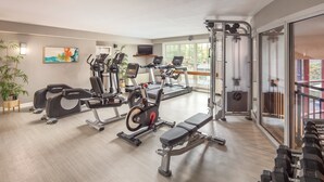 Un gimnasio moderno con máquinas de cardio, pesas libres y un amplio ventanal que ofrece vistas al exterior.