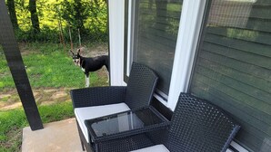 En terrasse med en sort fletsofa og et glasbord, en hund ligger på jorden, og der er udsigt til en grøn have.