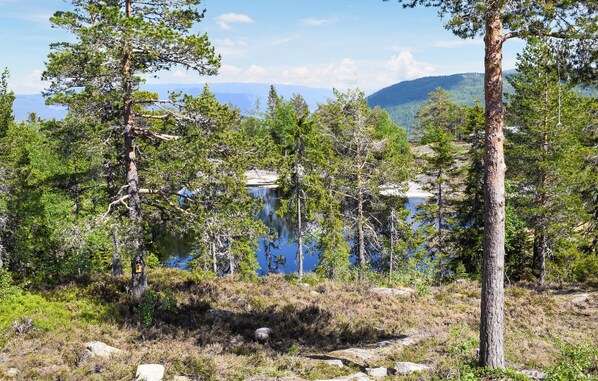 Paisaje natural con árboles y un lago.