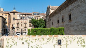 A historic building with a stone facade, a narrow street in front, and a hedge in the foreground. - ALCAZAR CERVANTES 5 COLLECTION (Toledo)