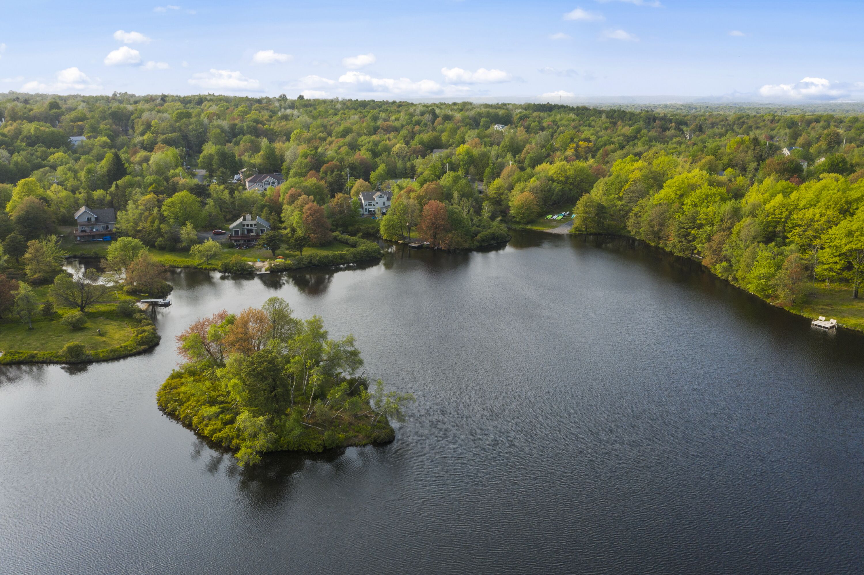 En sø omgivet af tæt skov og huse.