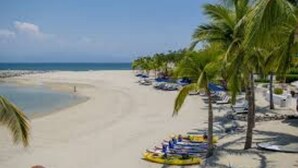 A beach with palm trees, a sandy shore, and a row of beach chairs and umbrellas. - The Hamptons Studio
 (Bucerías)