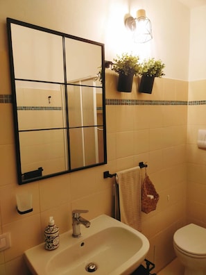 Shower, hair dryer, bidet, towels