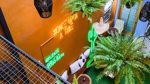 Ein Zimmer mit einer leuchtend orangefarbenen Wand, einem Neon-Schild mit der Aufschrift "#ONCE UP A TIME" und einer grünen Kakteendeko.