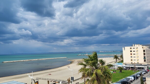 Vista de una playa con un edificio, palmeras y cielo despejado.