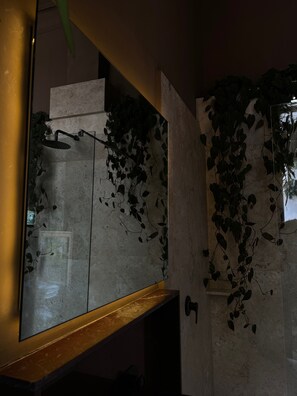 Chambre Deluxe | Salle de bain | Douche, douche à « effet pluie », sèche-cheveux, serviettes fournies