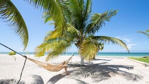 A sandy beach with a hammock tied to a palm tree, a clear blue sky, and the ocean in the background. - VILLA KUXTAL, OCEANFRONT (San Crisanto)