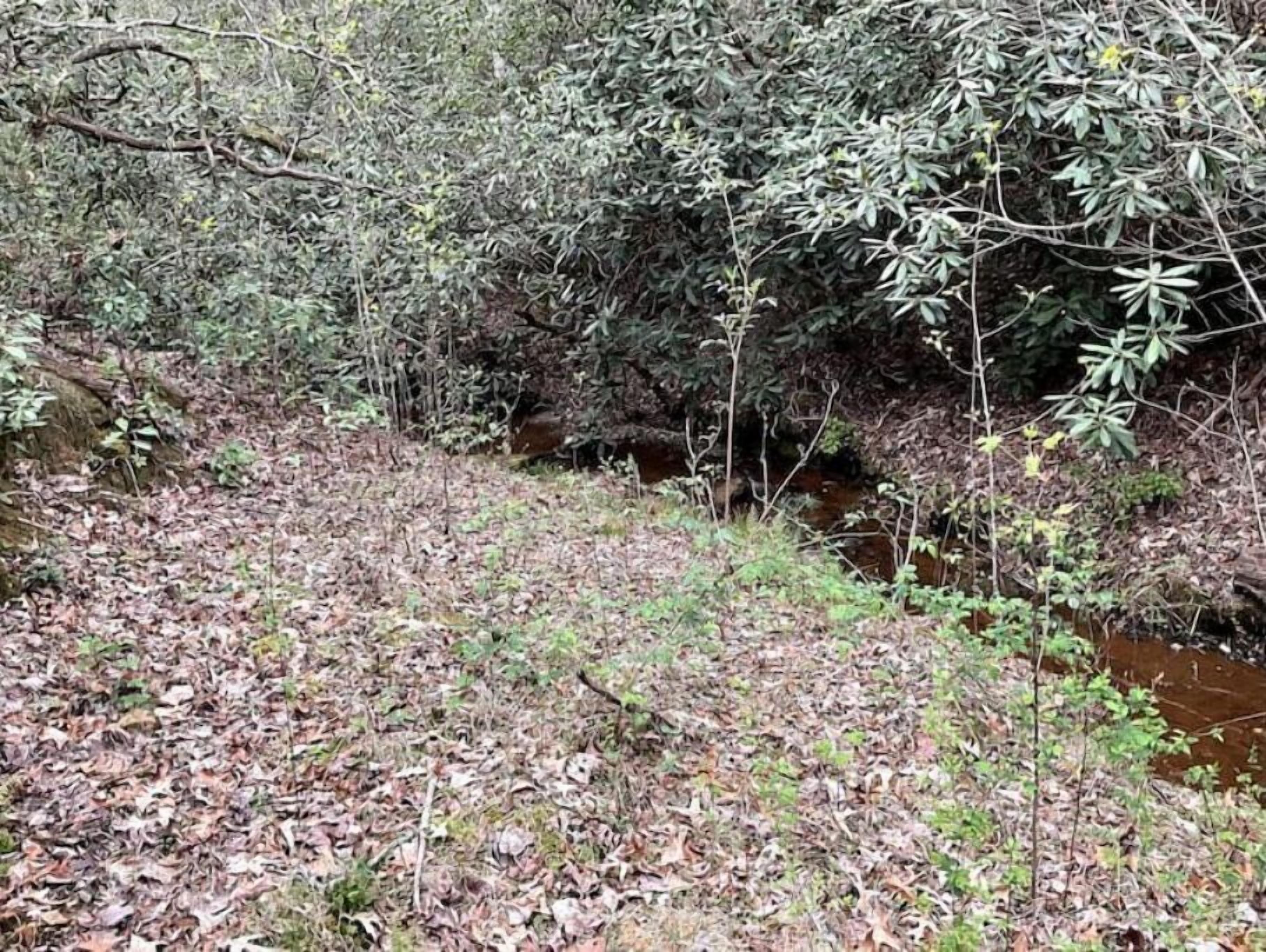 Tallulah Gorge Guest Suite One & Two