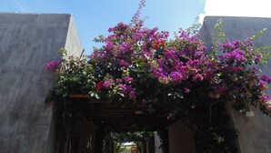 A doorway with a floral archway. - Chalé Palhano Beach Milagres (São Miguel dos Milagres)