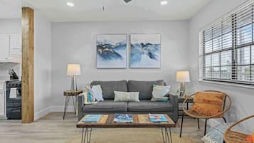 Televisión de pantalla plana, Netflix y servicios de streaming