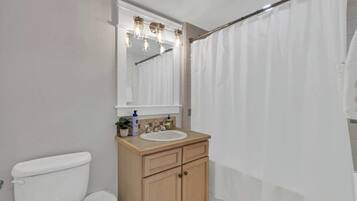 Bathtub, hair dryer
