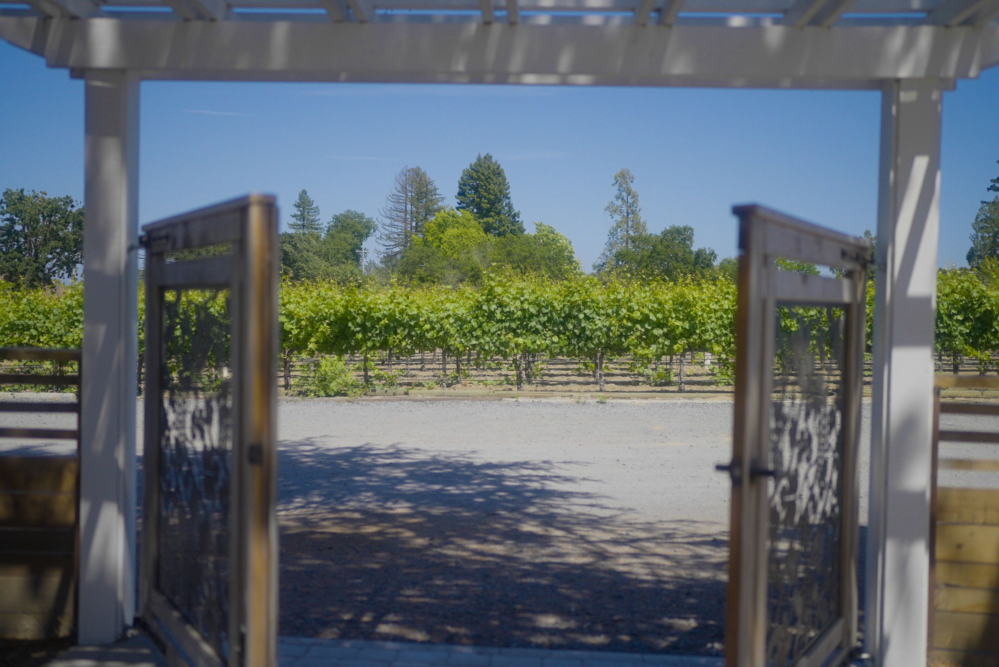 Vineyard View Getaway -