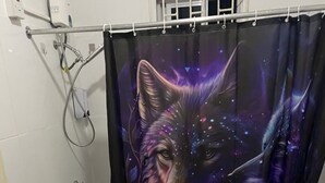 Une salle de bain équipée d’une douche avec un rideau de douche orné d’un motif représentant une tête de loup, de toilettes et d’un bidet.