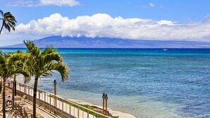 Une vue sur la côte, avec un ciel dégagé, une plage bordée de palmiers et une montagne en arrière-plan.