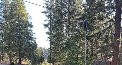 Cozy Cabin walking distance from the lake. Plenty of lake access!