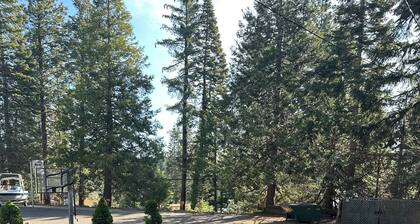Cozy Cabin walking distance from the lake. Plenty of lake access!