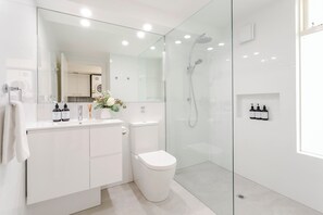 Ducha, secador de pelo y toallas