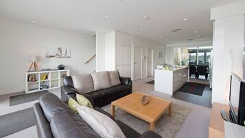 TV, fireplace, DVD player