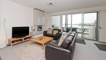 TV, fireplace, DVD player