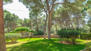 Un jardin bien entretenu, agrémenté de divers arbres et arbustes, d’un mur en pierre et d’une pelouse verdoyante.