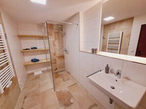 Shower, hair dryer, towels