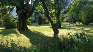 Un jardin avec une balançoire, un grand arbre et une pelouse verdoyante.