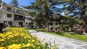 Un edificio con un camino de piedra, rodeado de flores amarillas y árboles altos.