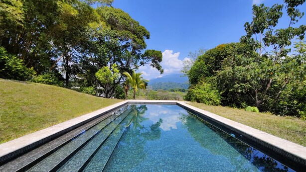 Une piscine rectangulaire à l’eau d’un bleu cristallin, entourée d’une végétation luxuriante et d’arbres.