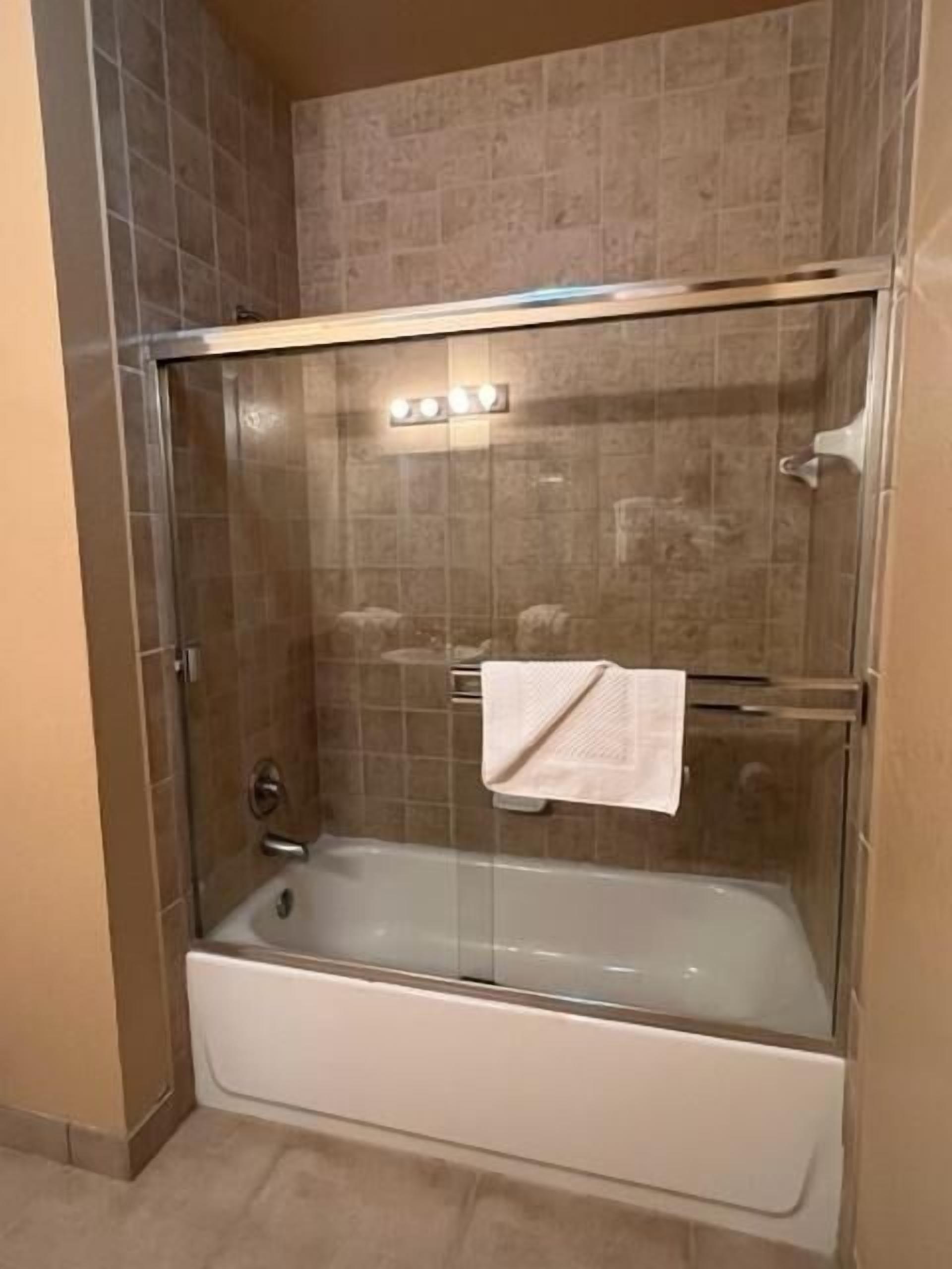 A glass-enclosed walk-in shower with a white bathtub.