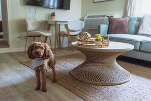 Televisión y oficina