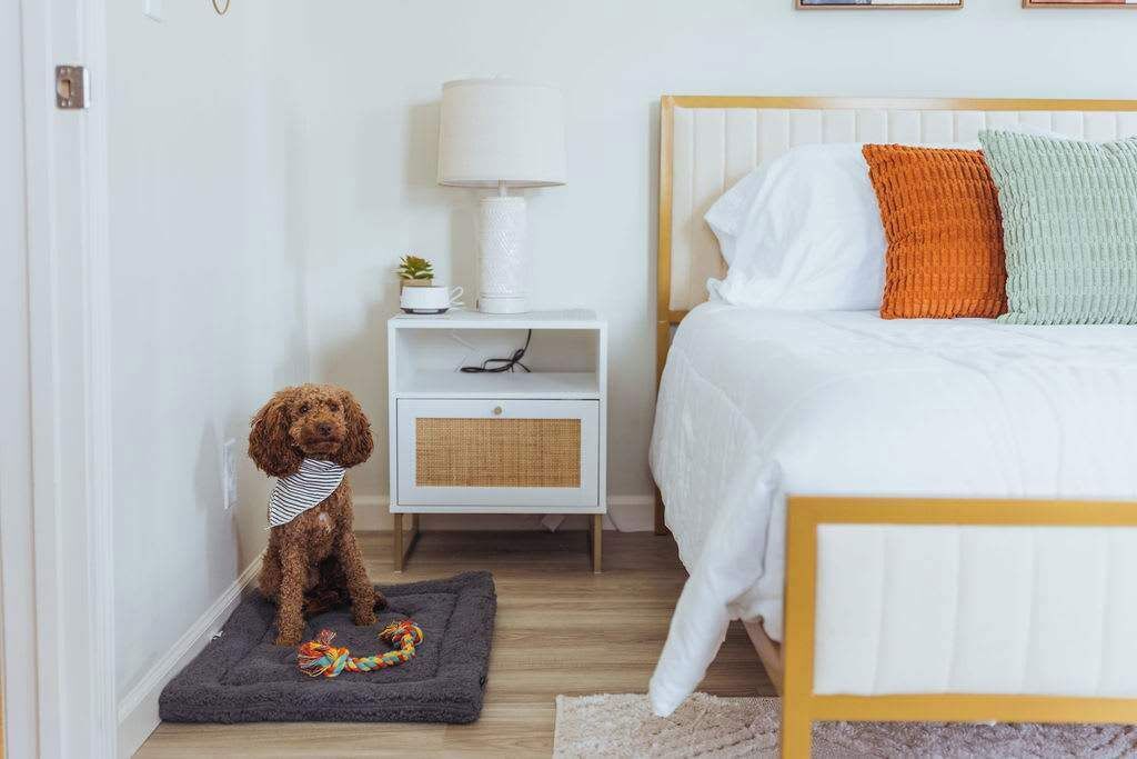 1 chambre, bureau, fer et planche à repasser, Wi-Fi